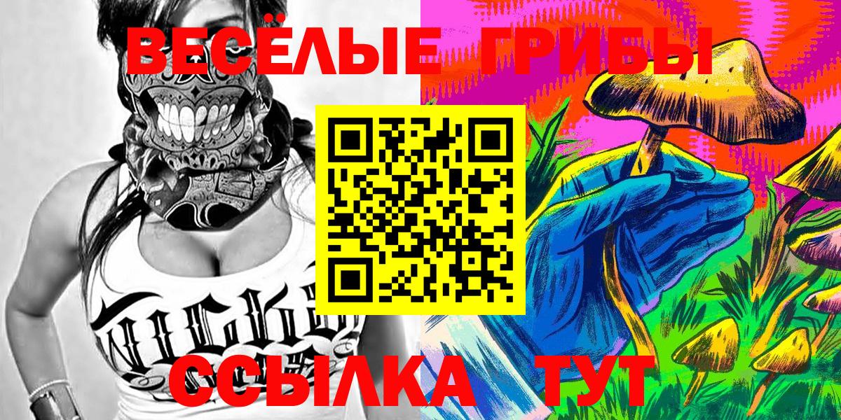 Псилоцибиновые грибы MAGIC MUSHROOMS  Вход с VPN  Карталы 